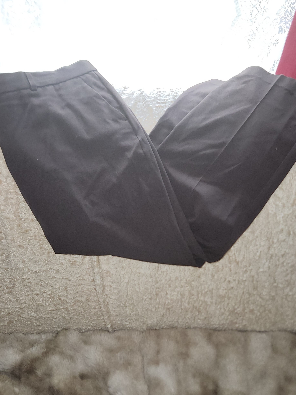Sag Harbor Stretch Petite Pants in Dark Brown